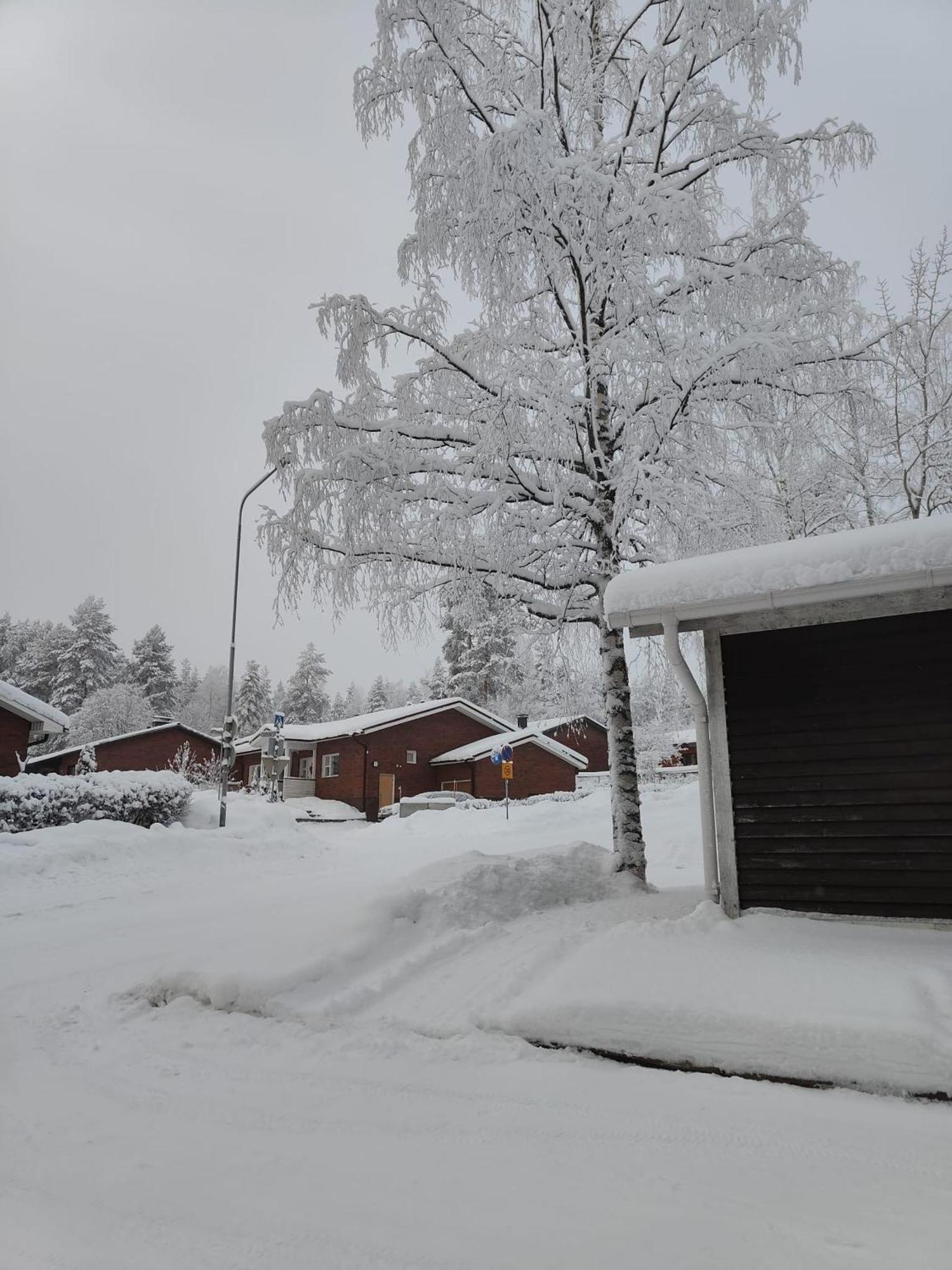 Cozy Forest Retreat In Kuopio - Perfect For Families Work Trips Exterior foto